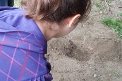 20170505_113151