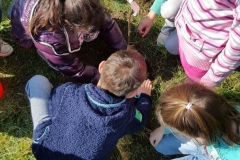 IMG-20160317-WA0038