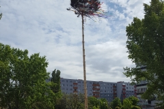 20170502_105956