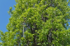 20180419_100604